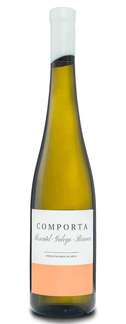 Comporta Moscatel Galego