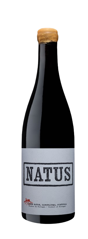 Natus Red 2022