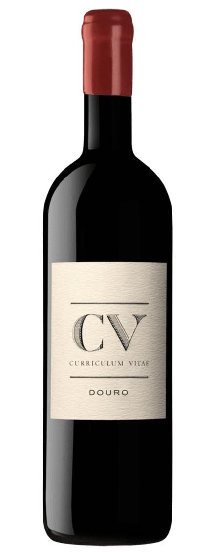 CV Curriculum Vitae Douro Red