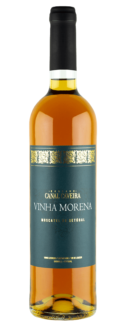 Vinha Morena Moscatel de Setúbal