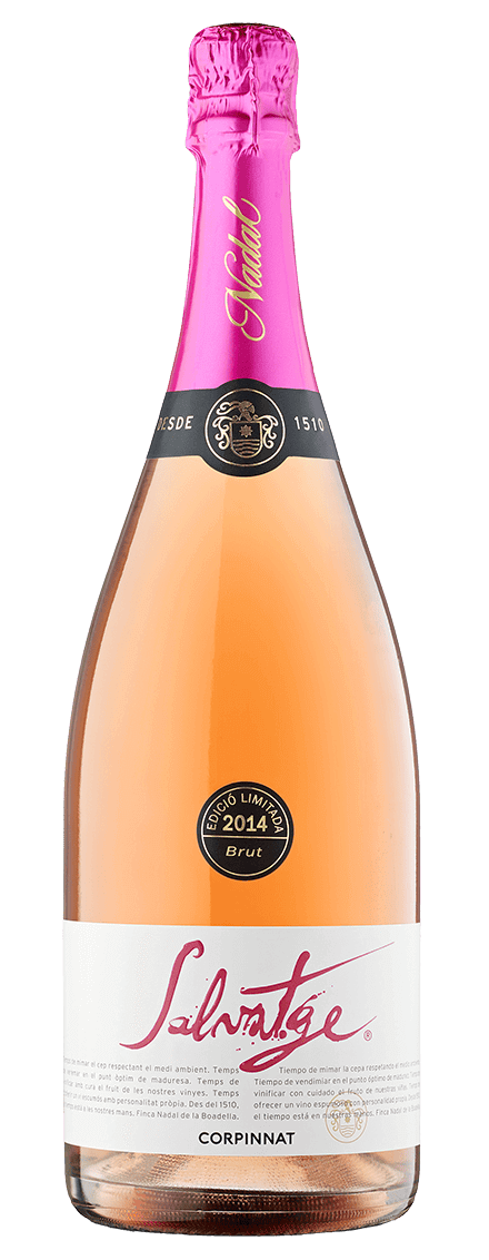 Grand Salvatge Brut Rosé 2014 Sparkling