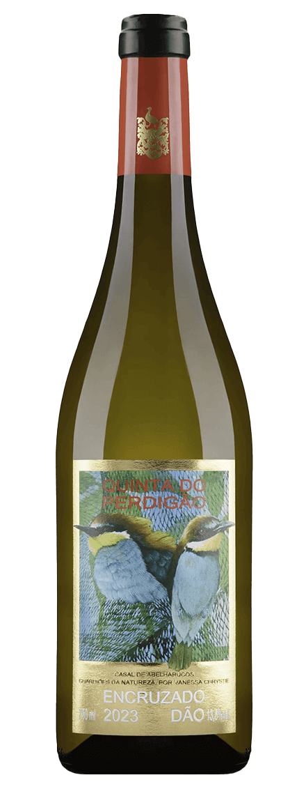 Dão DOC Quinta do Perdigão – Encruzado