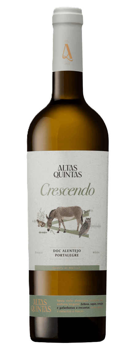 Crescendo White