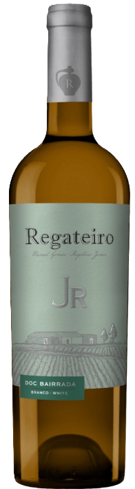 Regateiro JR White