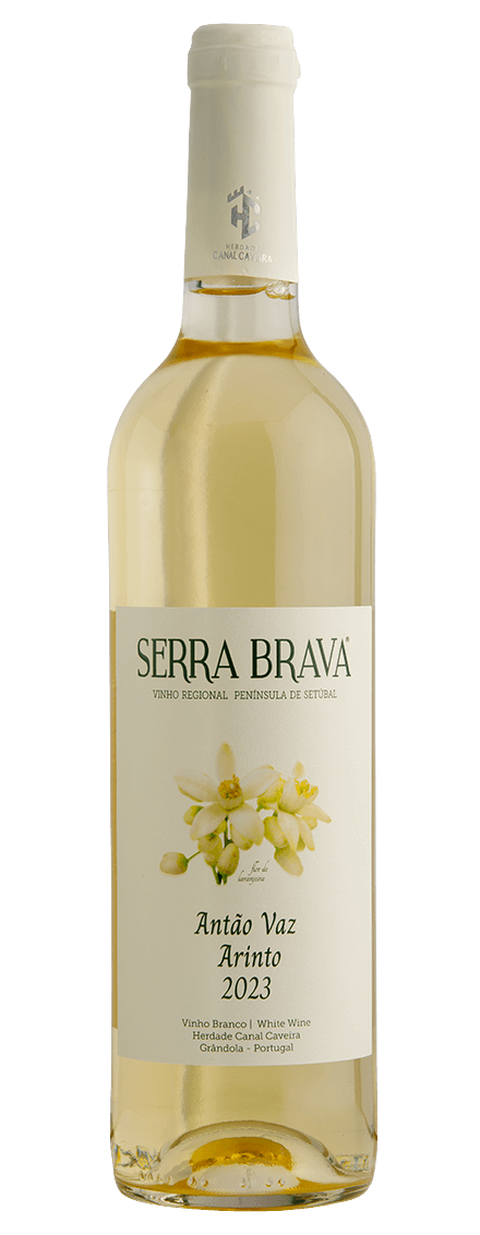 Serra Brava Antão Vaz e Arinto