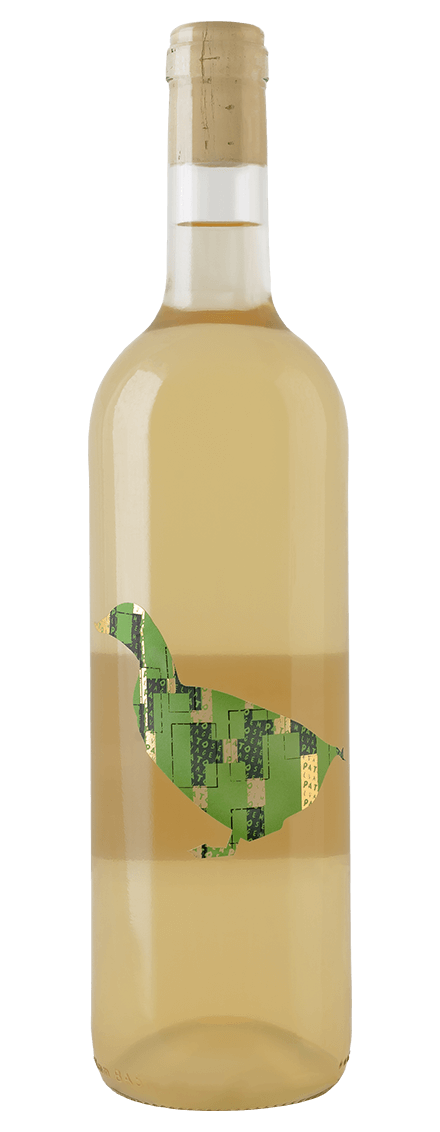 WHITE DUCK
