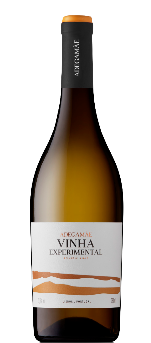 AdegaMãe Vinha Experimental