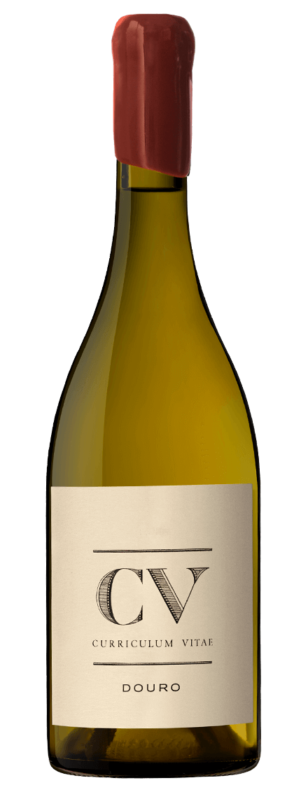 CV Curriculum Vitae Douro White