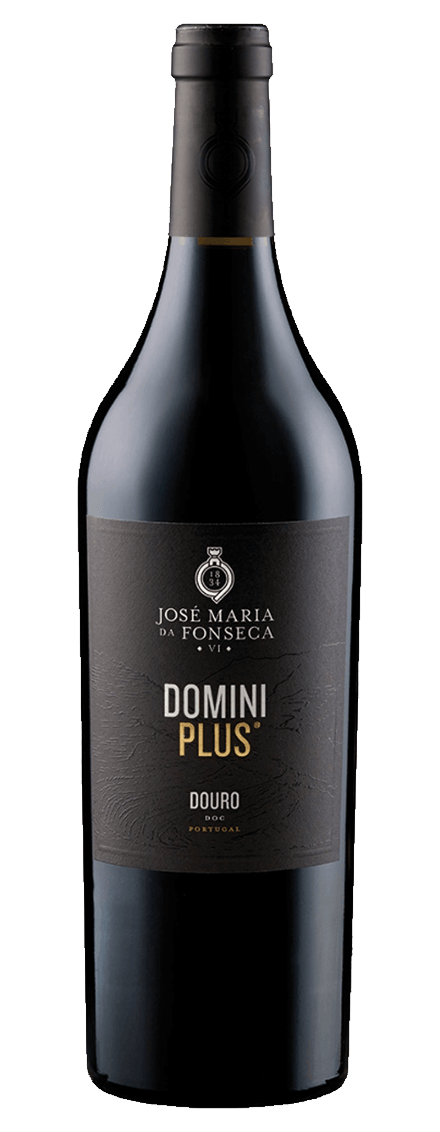 Domini Plus