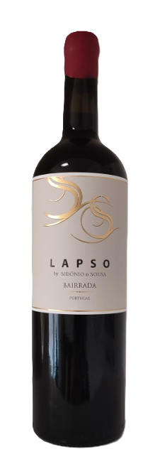 Sidónio de Sousa LAPSO 2018