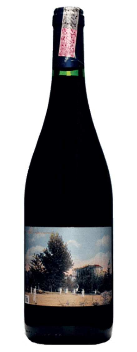 Campolargo Alvarelhão Rosé