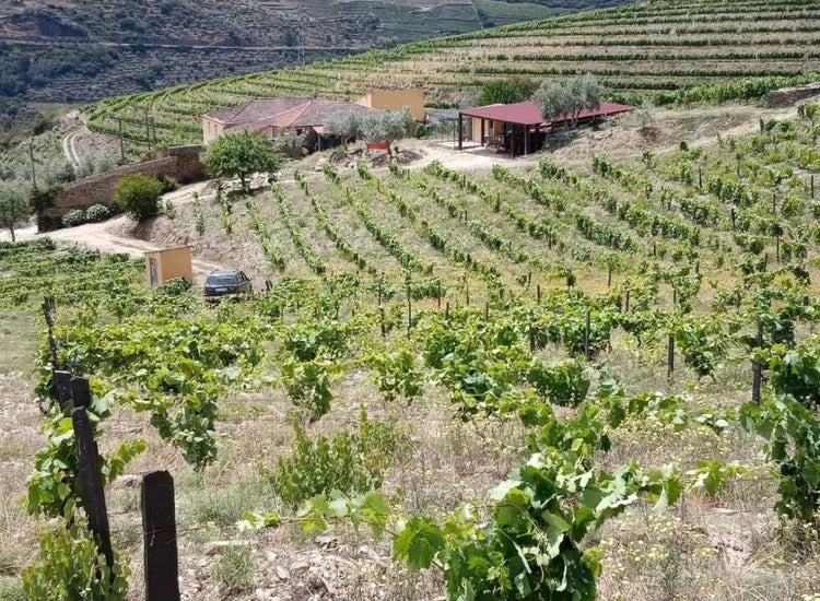 Quinta da Furada