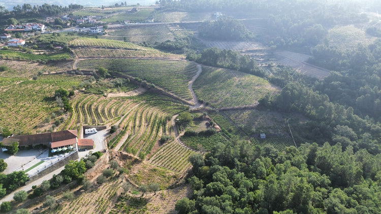 Quinta do Roncão