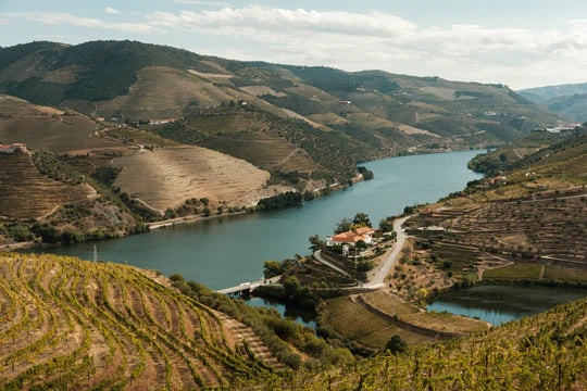 Val Moreira
