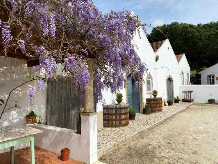 Quinta da Boa Esperança