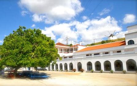 Quinta do Piloto