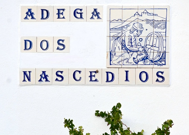 Adega dos Nascedios