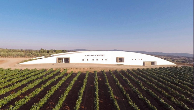 Tiago Cabaço Winery