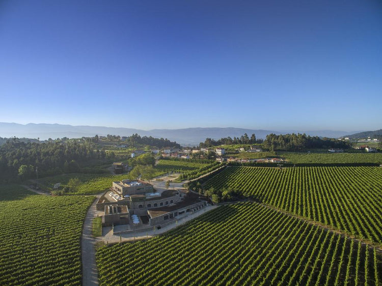 Quinta da Lixa