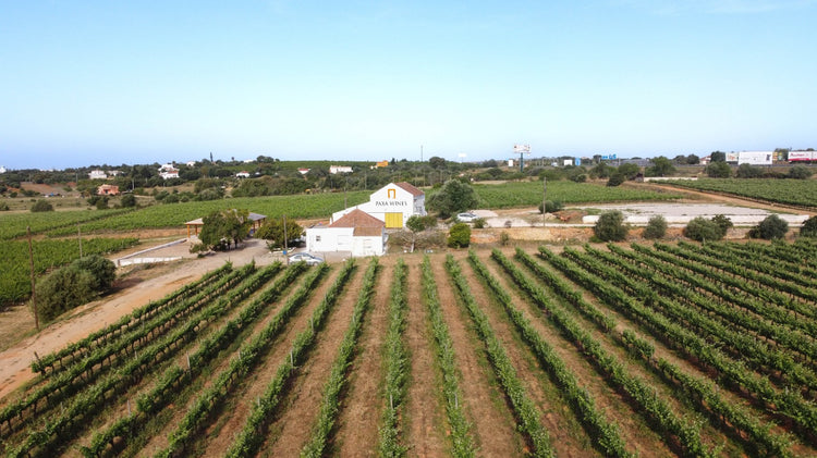 Paxá Wines