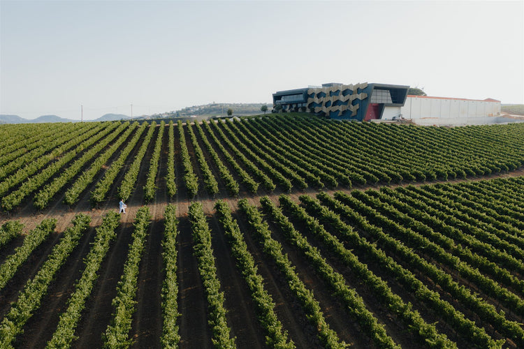 Quinta da Almiara