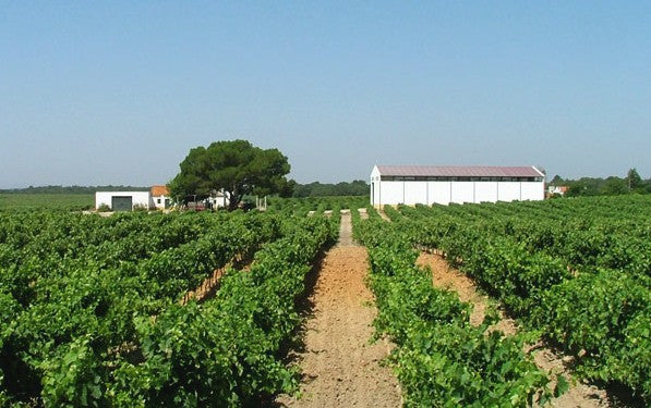 Casa Agrícola Assis Lobo