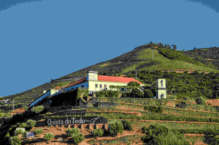 Quinta do Tedo