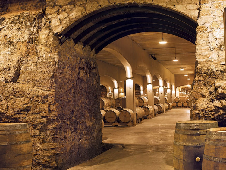 Bodegas David Moreno