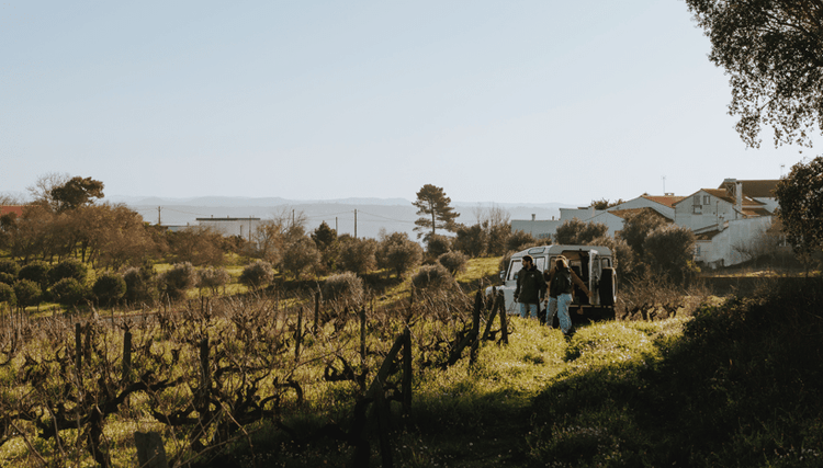 Margaval Vinhos