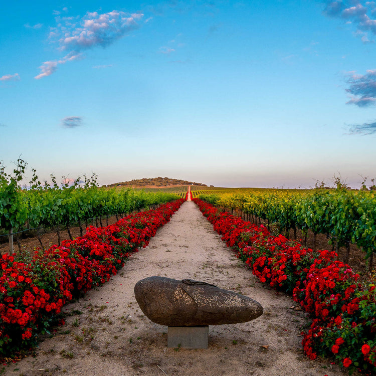 Reynolds Wine Growers