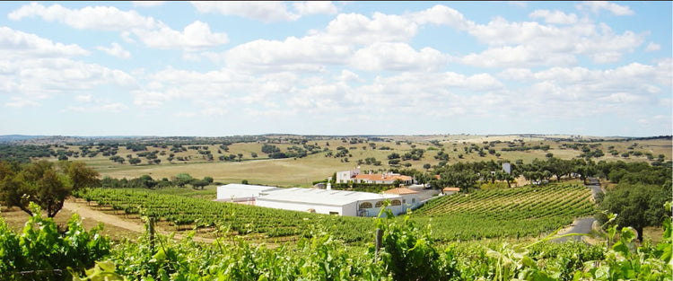 Herdade do Perdigão