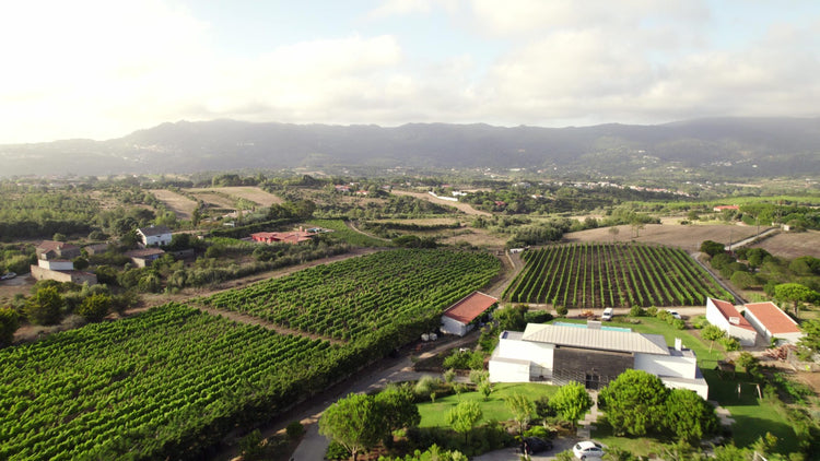 Quinta de San Michel