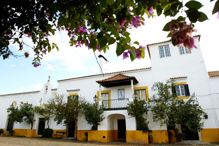 Torre do Frade