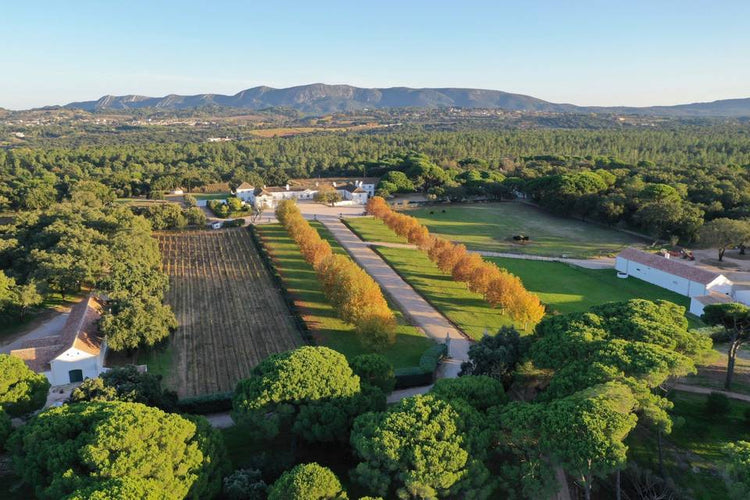 Herdade do Perú