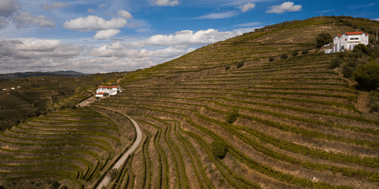Quinta da Pedra Alta