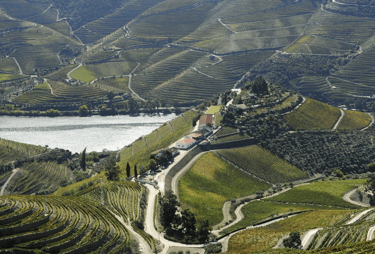 Quinta do Crasto