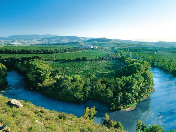 Finca Valpiedra