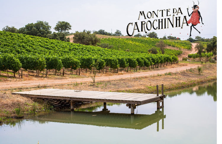 Monte da Carochinha