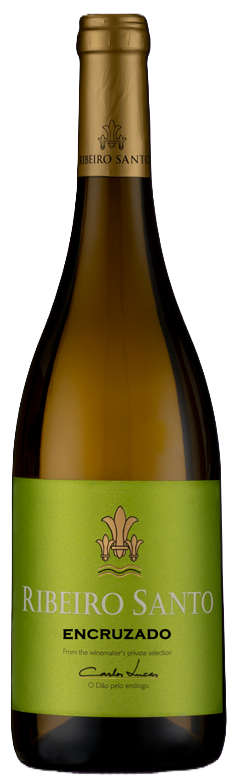 Ribeiro Santo Encruzado
