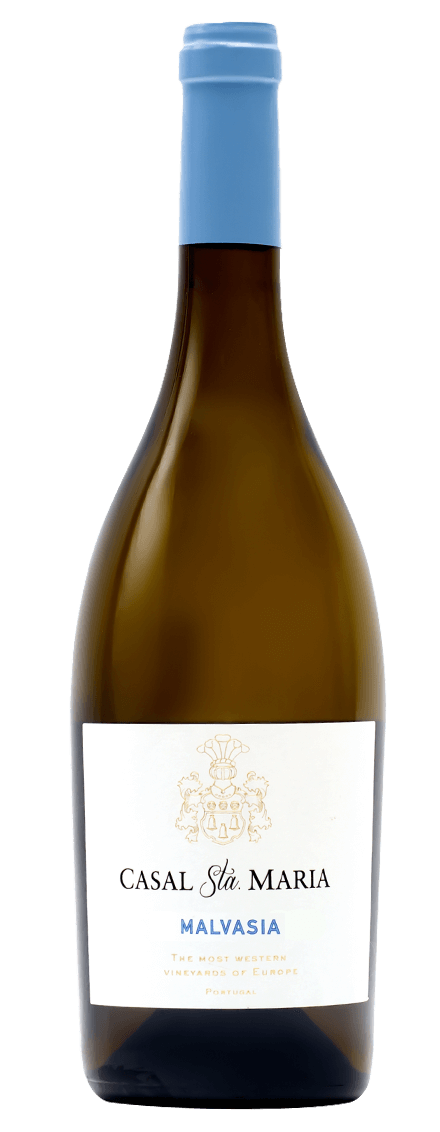 Malvasia