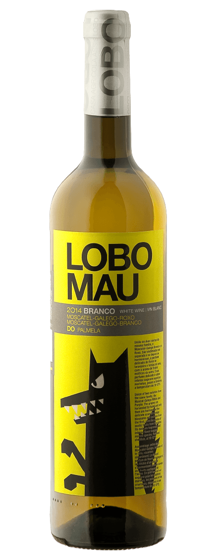 Lobo Mau White