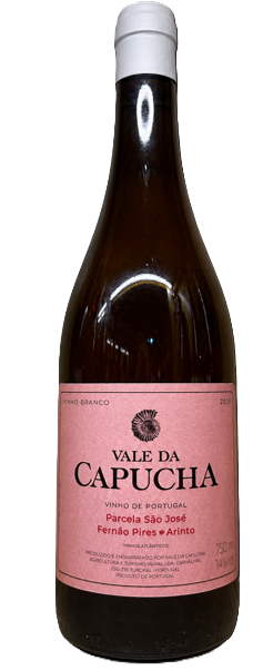 Vale da Capucha Parcela São José - Fernão Pires e Arinto