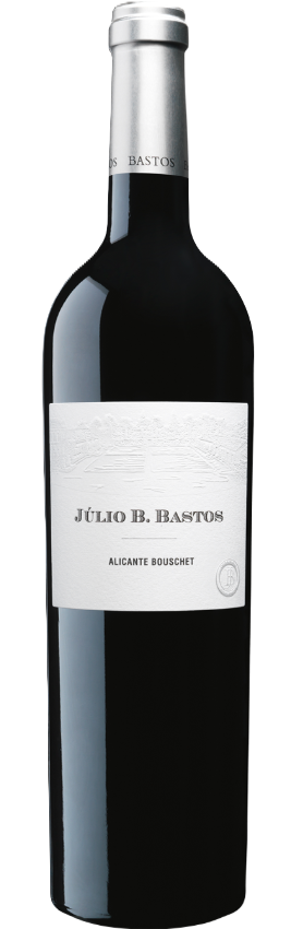 Júlio B Bastos 2020