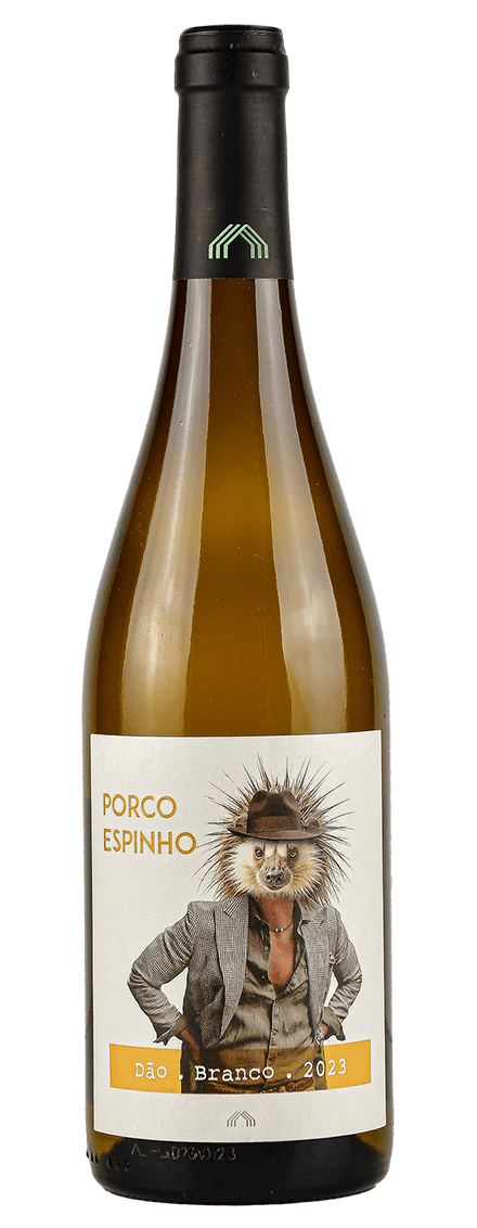 Porco Espinho White