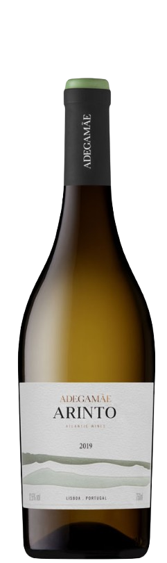 AdegaMãe Arinto