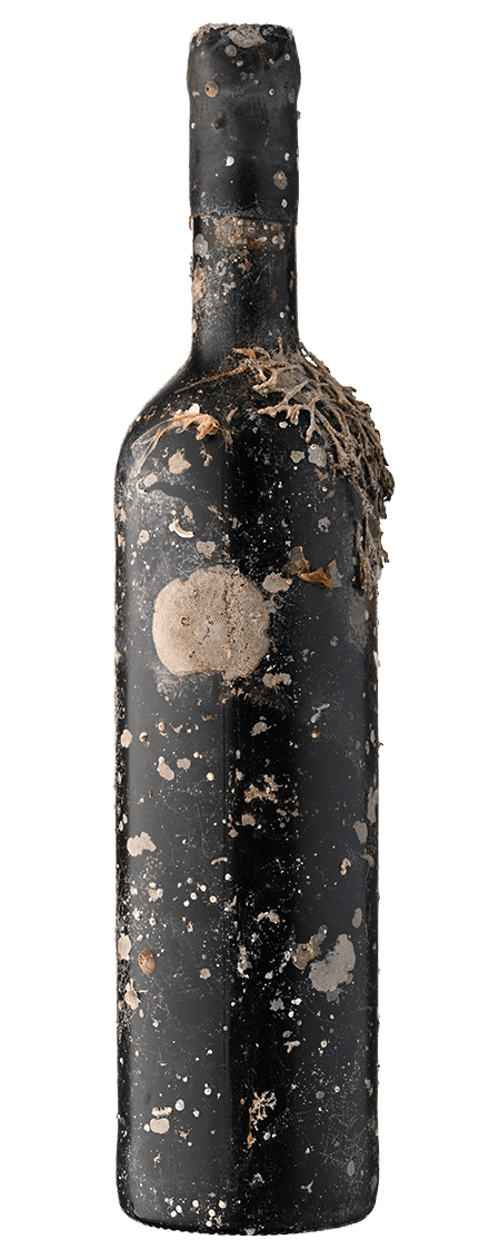 Serenada Verdelho Vinho do Mar White MAGNUM
