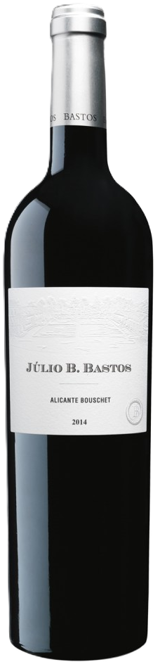 Júlio B Bastos 2014