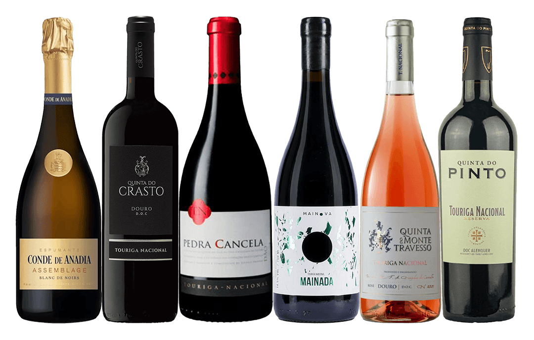 Meet Touriga Nacional