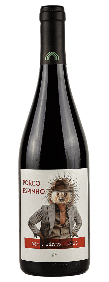 Porco Espinho Red