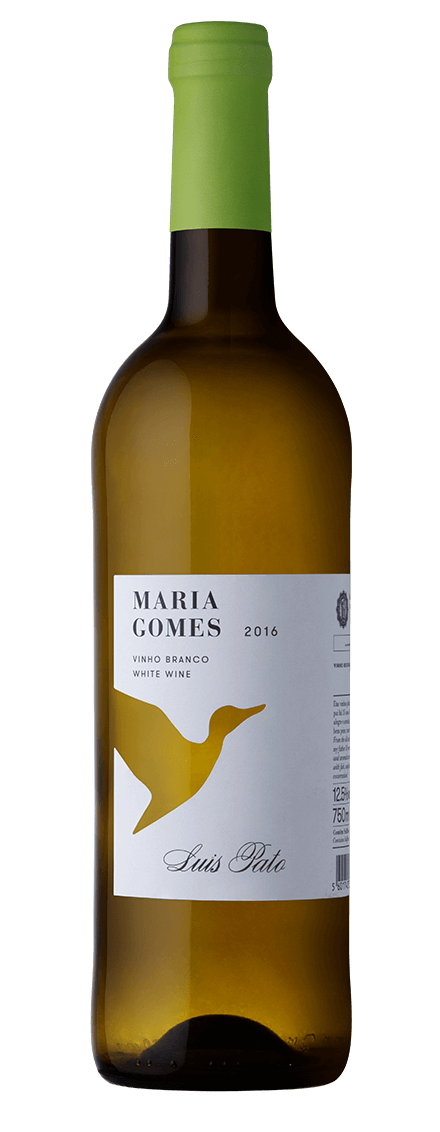 Maria Gomes White